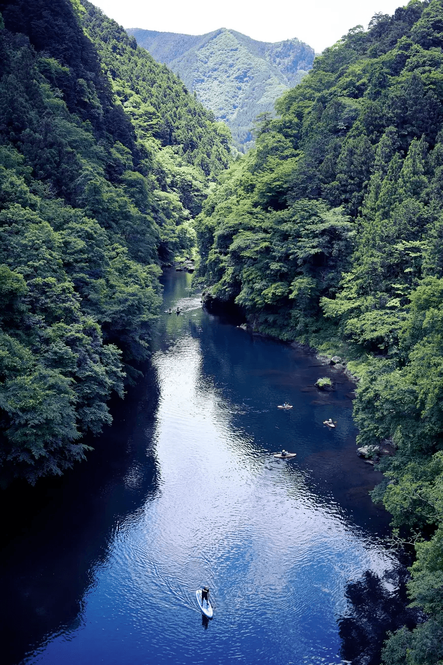 Leave No Trace Drives TOKYO Sustainable Tourism Through Experiential Learning in Tokyo’s Forests