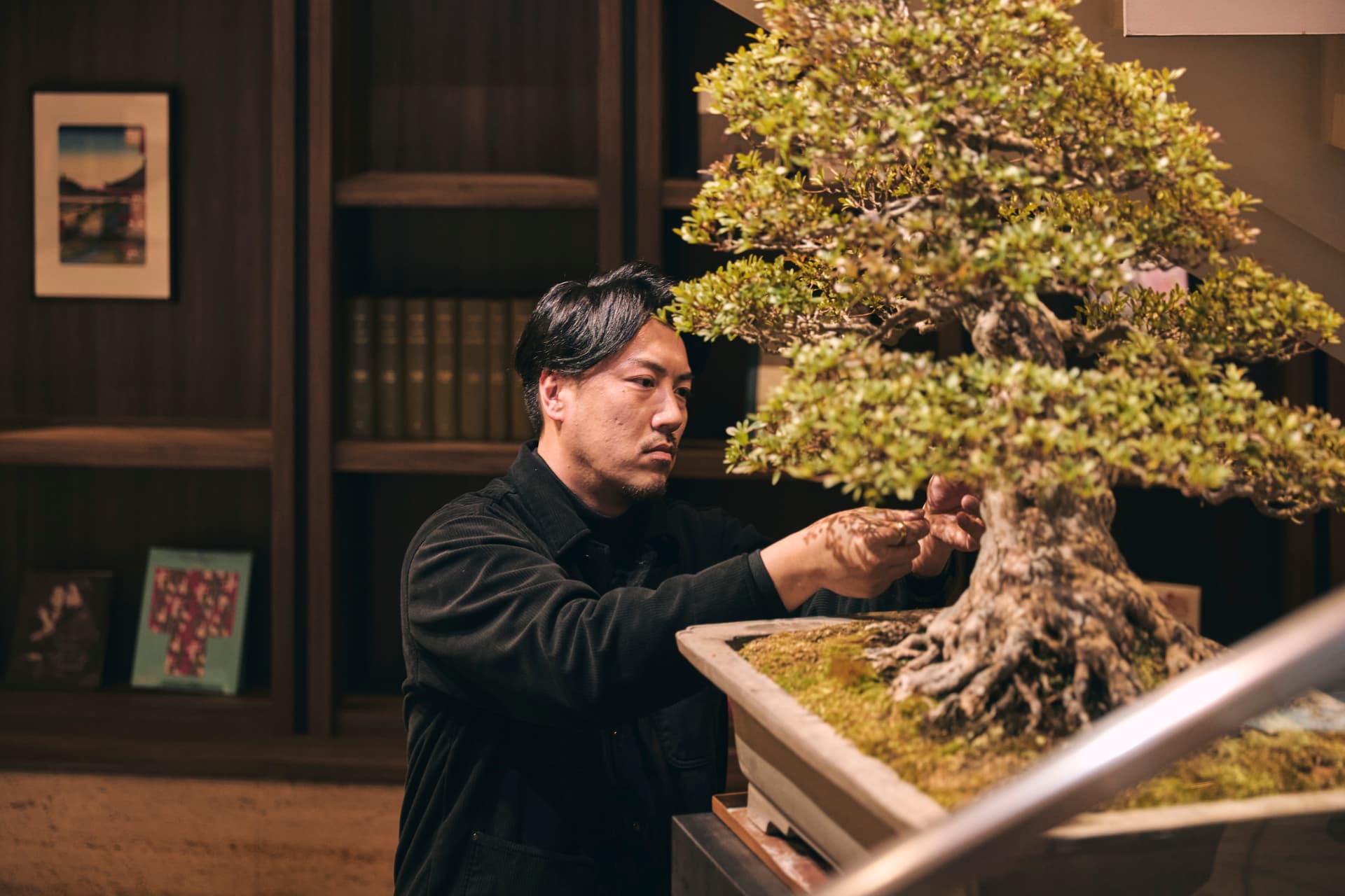 Shiba Park Hotel Presents Year-Round Bonsai Display Curated by BONSAI SADASYO