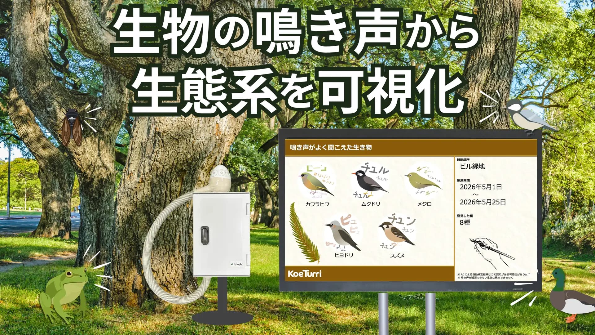 生物の鳴き声×AIで生態系を可視化する「KoeTurri®(コエチュリー)」正式リリース